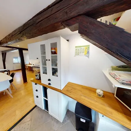Spacious Duplex City Center Straßburg Exterior foto